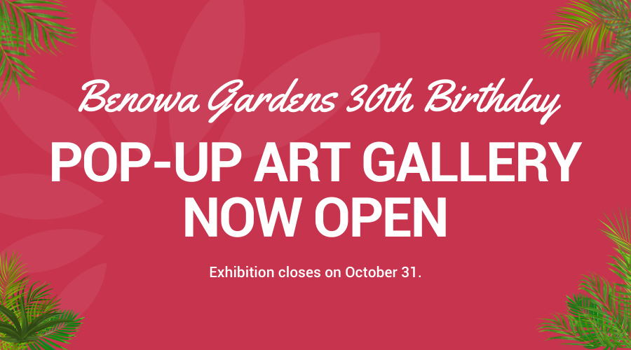 Benowa Gardens 30th Birthday Pop-Up Art Gallery notice